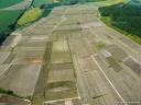 Vignes (Reims)