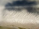 Ombres et Lumières en baie de Somme