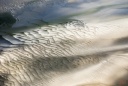 Ombres et Lumières en baie de Somme