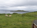 Ile de Skye - vers Flodigarry
